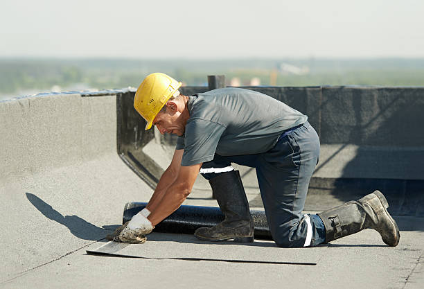 Best Attic Insulation Installation  in Manito, IL