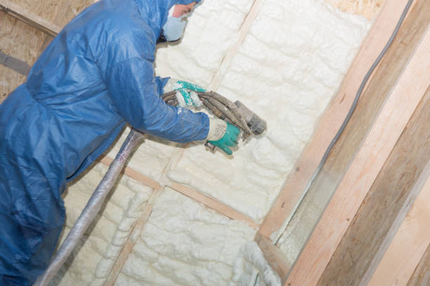 Best Attic Insulation Installation  in Manito, IL